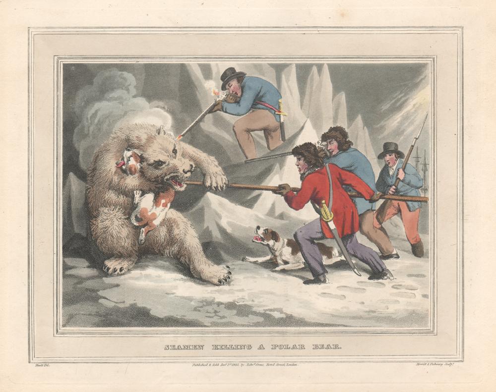 Samuel Howitt Animal Print - Seamen Killing a Polar Bear, aquatint engraving field sport hunting print, 1813