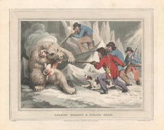 Antique Seamen Killing a Polar Bear, aquatint engraving field sport hunting print, 1813