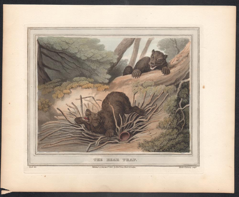 The Bear Trap, aquatint engraving hunting print, 1813 - Print by Samuel Howitt