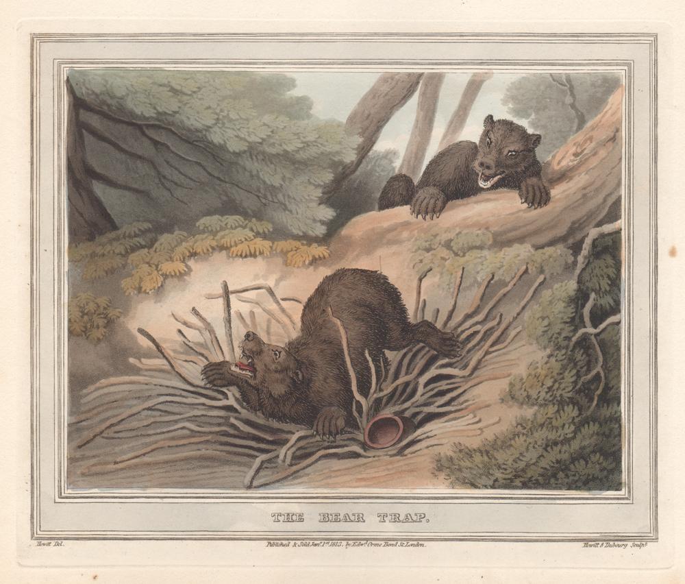 Samuel Howitt Animal Print - The Bear Trap, aquatint engraving hunting print, 1813