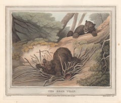 Le plateau de l'ours, gravure  l'aquatinte d'une chasse, 1813