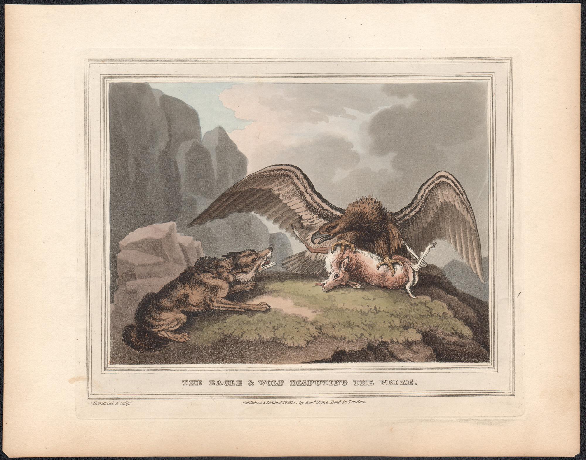 The Eagle & Wolf Disputing the Prize, aquatint engraving hunting print, 1813 - Print by Samuel Howitt