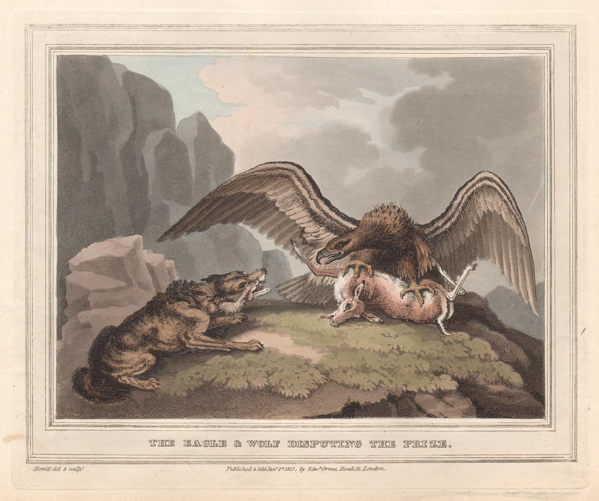 Samuel Howitt Animal Print – The Eagle & Wolf Disputing the Prize, Aquatinta-Gravur- Jagddruck mit Jagdmotiv, 1813