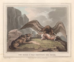 L'aigle et le loup dévaluant le prix, gravure à l'aquatinte de chasse, 1813