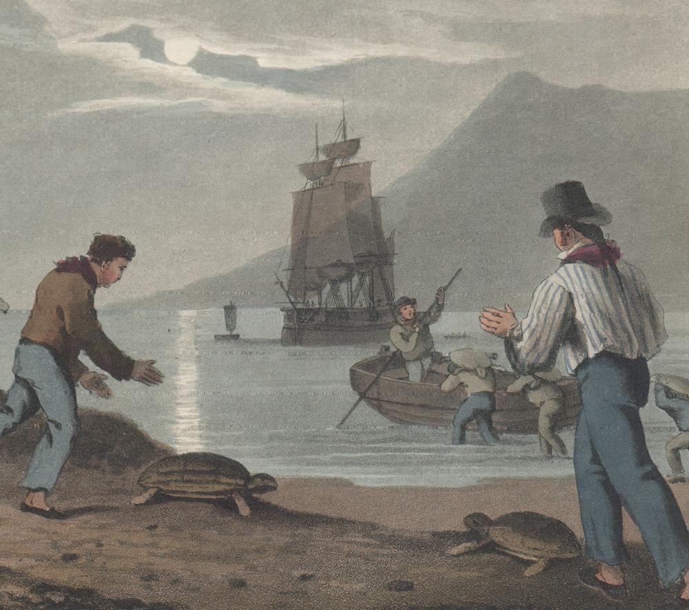 Turtle Catching on Land, aquatint engraving hunting print, 1813 - Print by Samuel Howitt