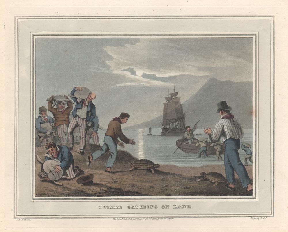 Turtle Catching on Land, gravure aquatinte de chasse, 1813