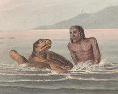 Turtle Fishing in the Water, aquatint engraving hunting print, 1813