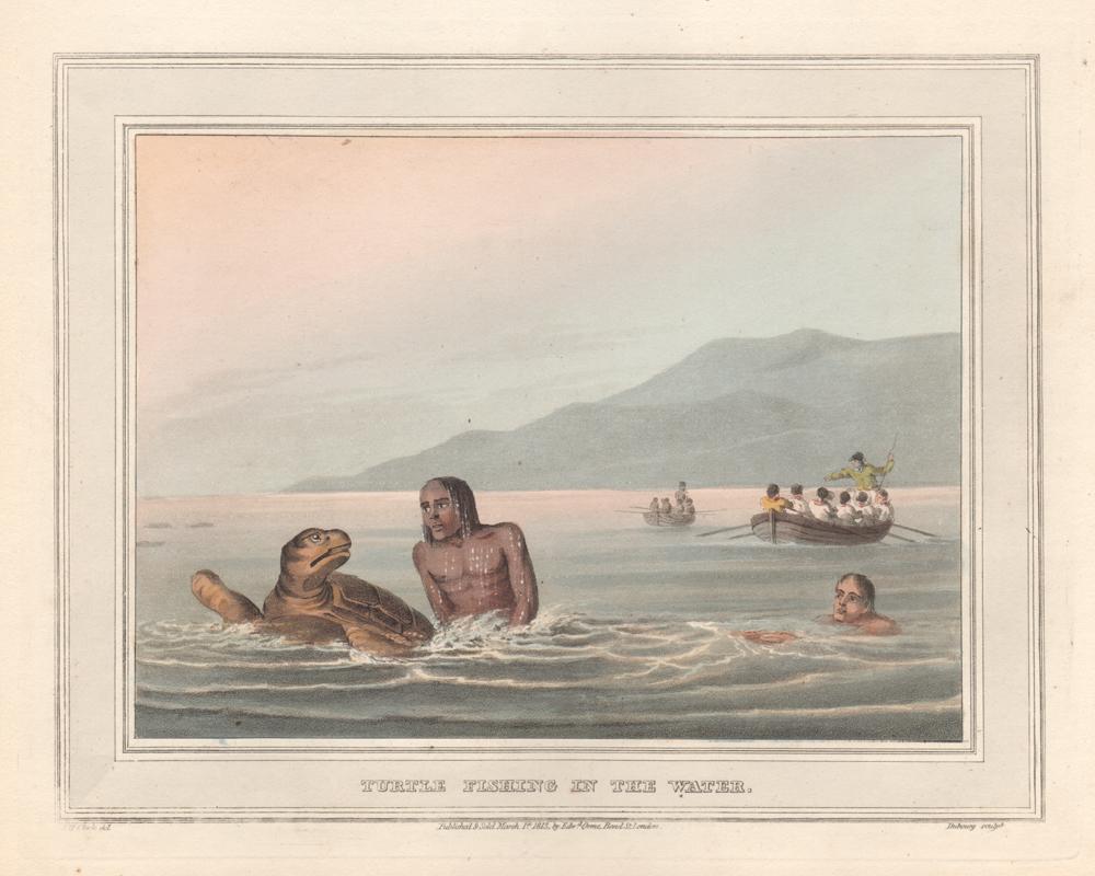 Turtle Fishing in the Water, aquatint engraving hunting print, 1813