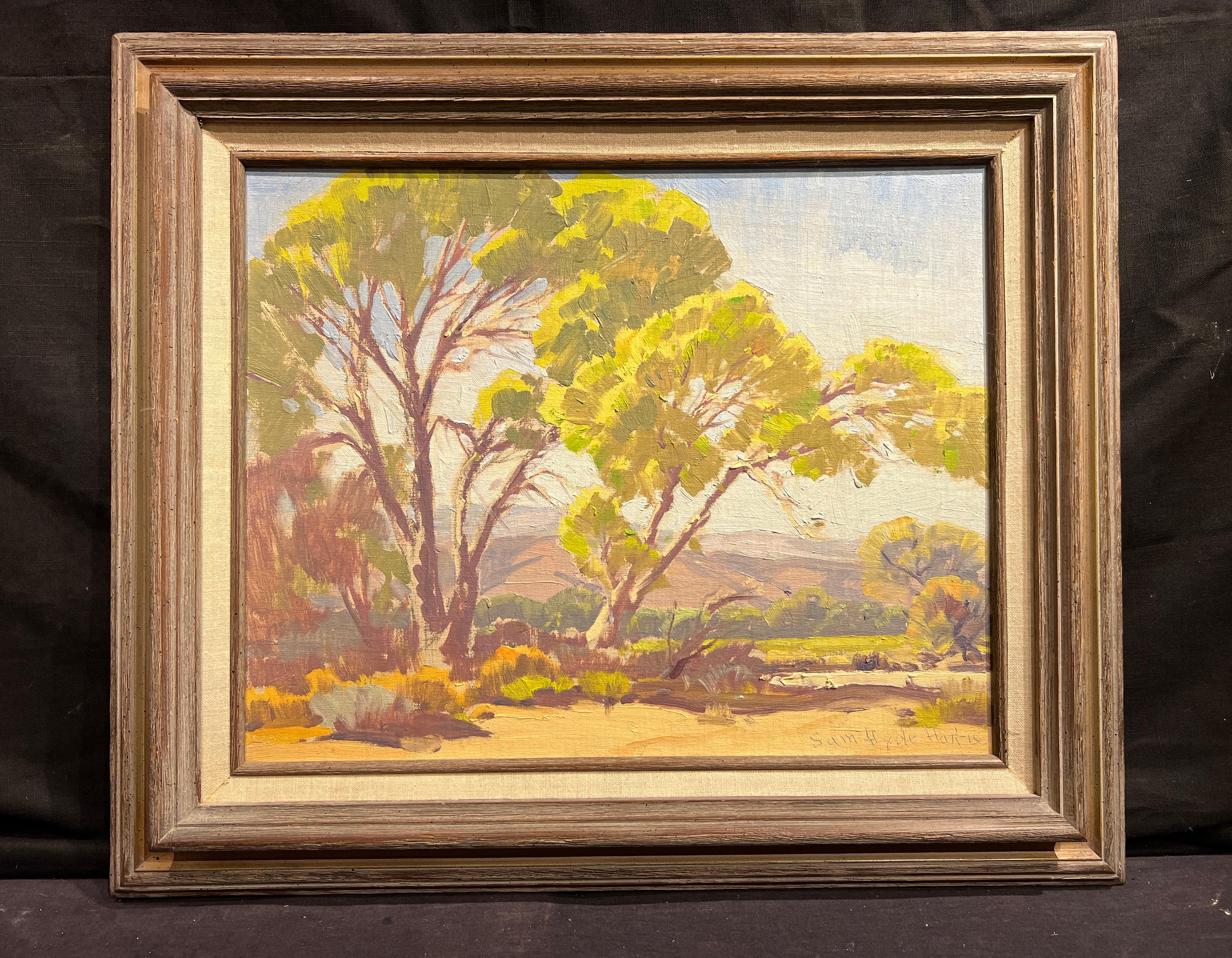 Kiefernholz (Baumwolle) (Amerikanischer Impressionismus), Painting, von Samuel Hyde Harris