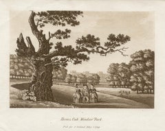 Antique Hermes Oak, Windsor Park, late 18th century English sepia aquatint, 1799