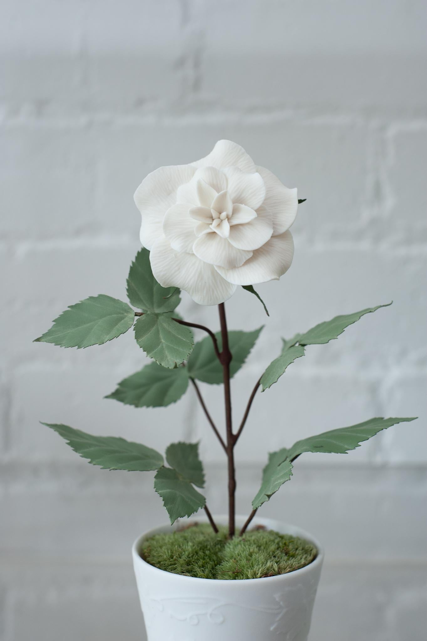 Enhance your table with these delicate porcelain flowers by French artist Samuel Mazy. This Rose Bush is handmade in biscuit porcelain with painted copper leaves and stems, and is placed in a biscuit porcelain pot. An exclusive floral collection