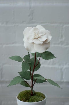 Samuel Mazy Escultura de Porcelana Biscuit Rosal en Maceta de Porcelana Biscuit