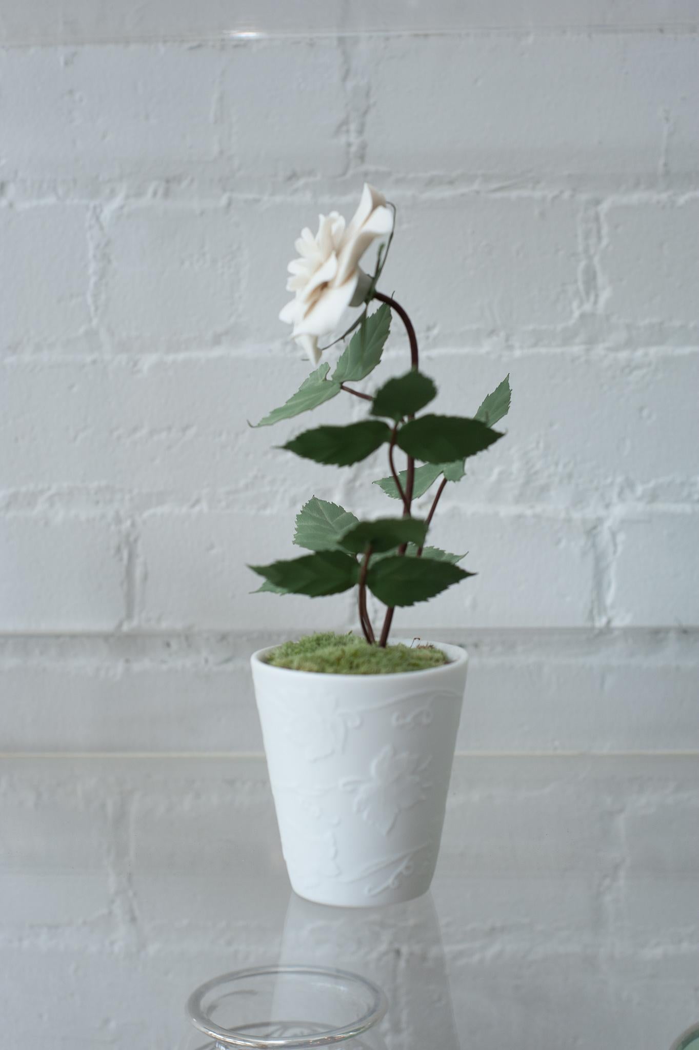 Samuel Mazy Biscuit Porcelain Rose Bush Sculpture in Biscuit Porcelain Pot In New Condition For Sale In Toronto, ON