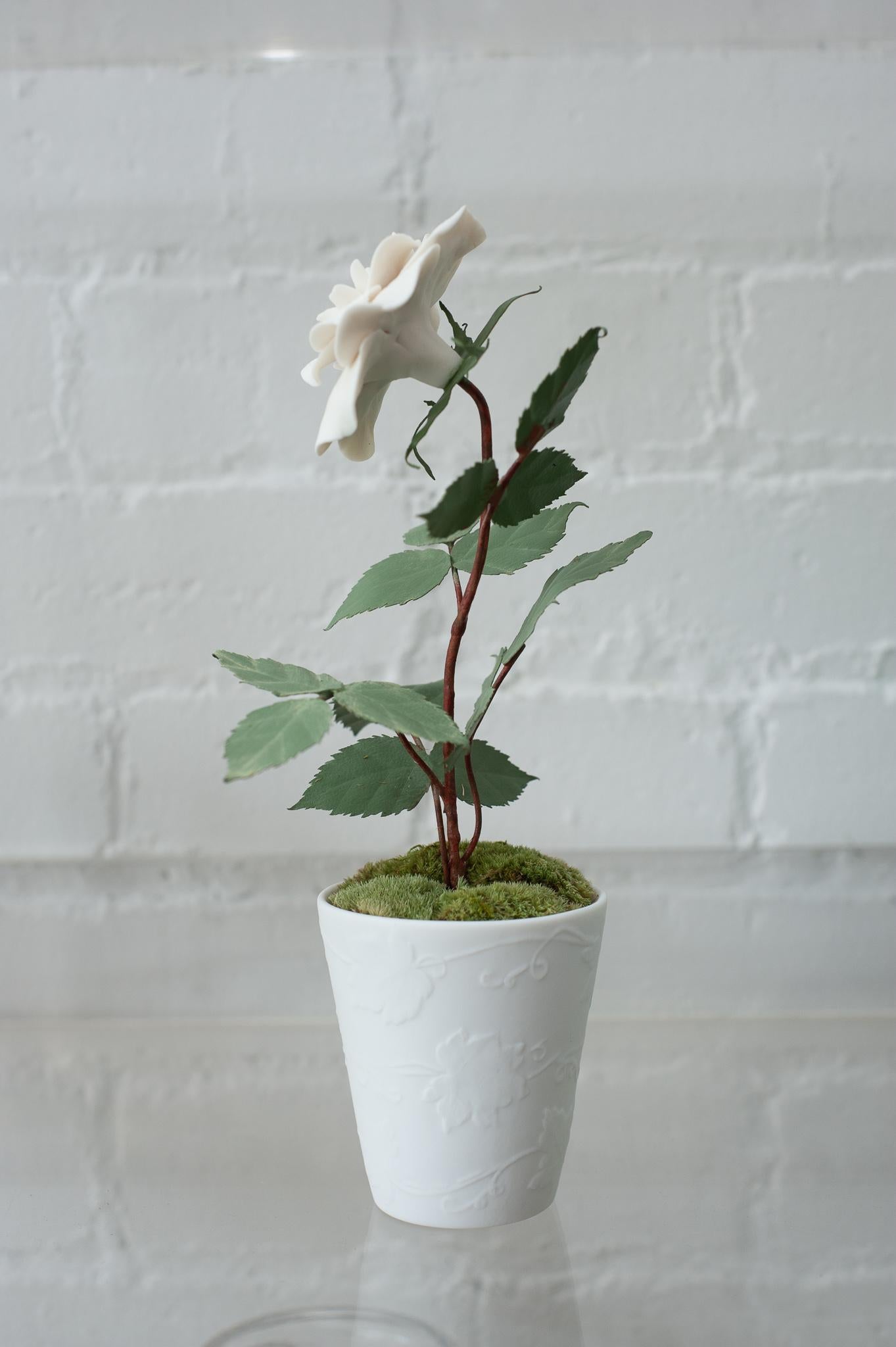 Samuel Mazy Biscuit Porcelain Rose Bush Sculpture in Biscuit Porcelain Pot In New Condition For Sale In Toronto, ON