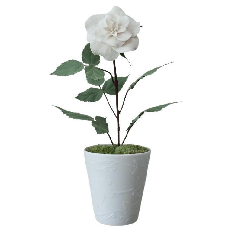 Samuel Mazy Biscuit Porcelain Rose Bush Sculpture in Biscuit Porcelain Pot For Sale