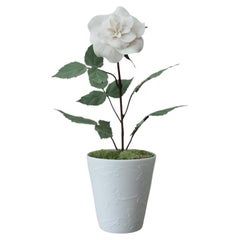 Samuel Mazy Biscuit Porcelain Rose Bush Sculpture in Biscuit Porcelain Pot