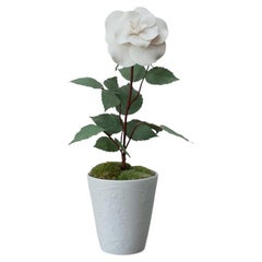Samuel Mazy Biscuit Porcelain Rose Bush Sculpture in Biscuit Porcelain Pot