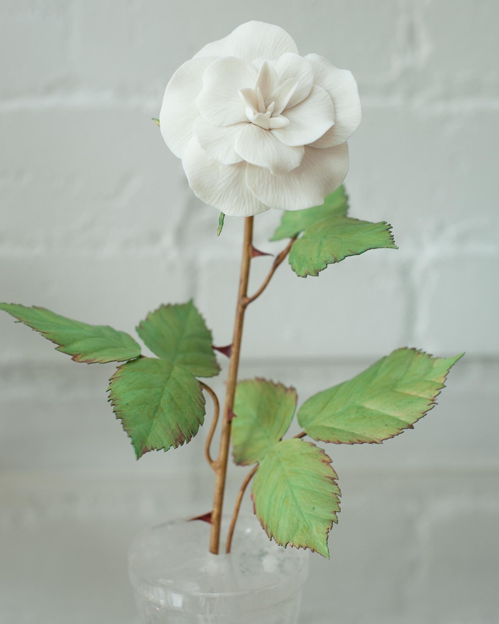 Agrémentez votre table de ces délicates fleurs en porcelaine de l'artiste français Samuel Mazy. Ce rosier est fabriqué à la main en porcelaine biscuit avec des feuilles et des tiges en cuivre peint, et est placé dans un pot en cristal de roche. Une