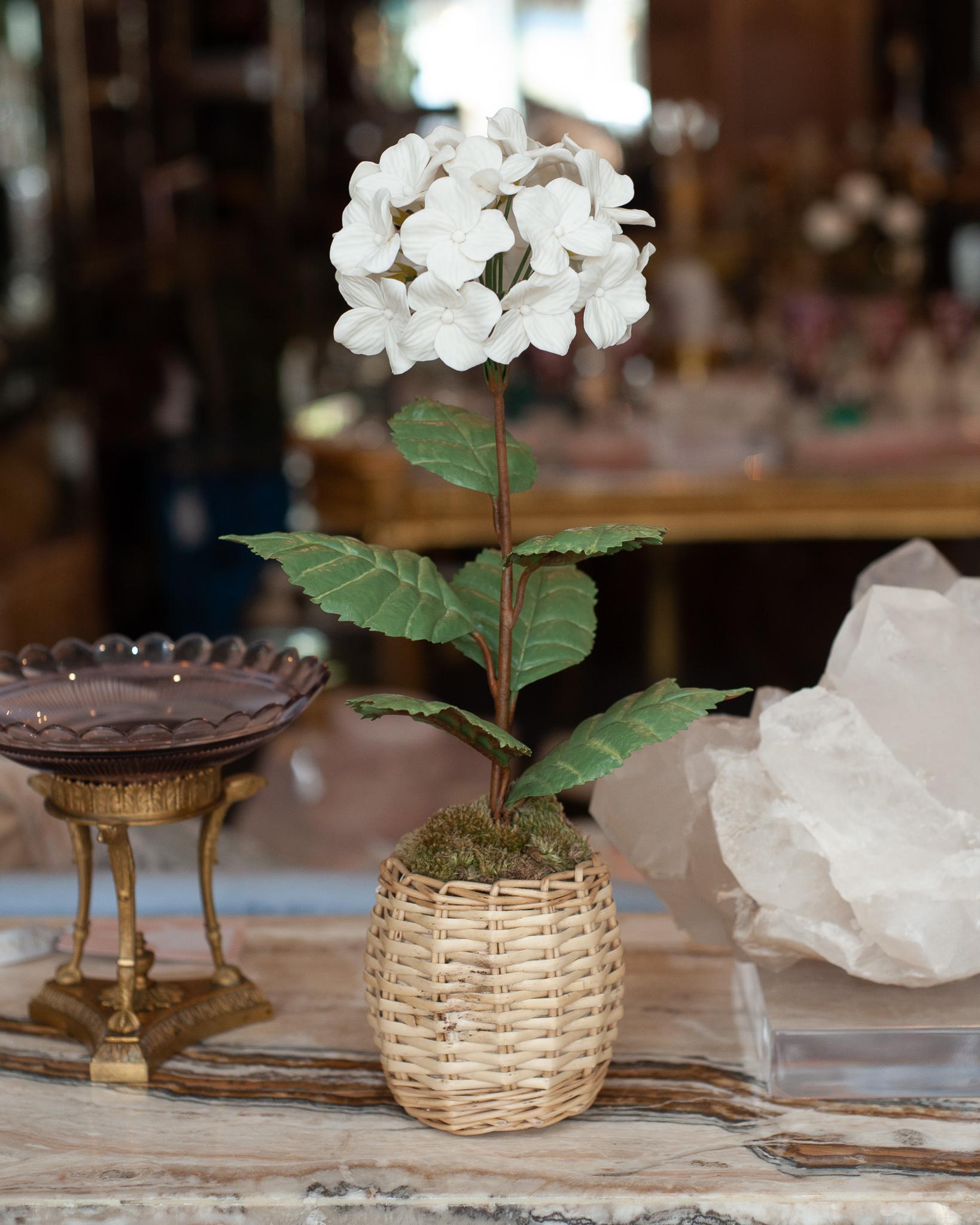 French Samuel Mazy Biscuit Porcelain White Hydrangea Flower Sculpture For Sale
