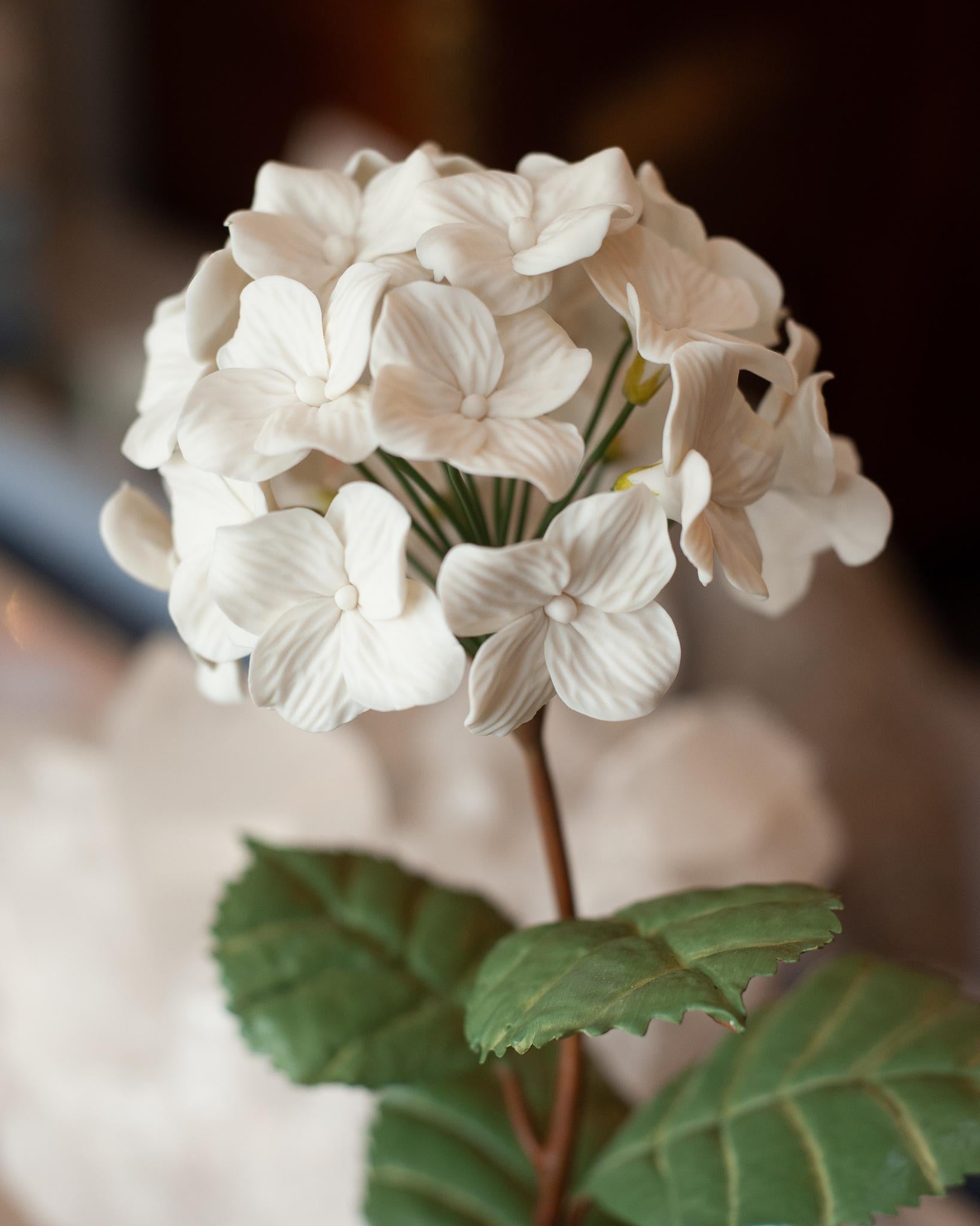 Contemporary Samuel Mazy Biscuit Porcelain White Hydrangea Flower Sculpture