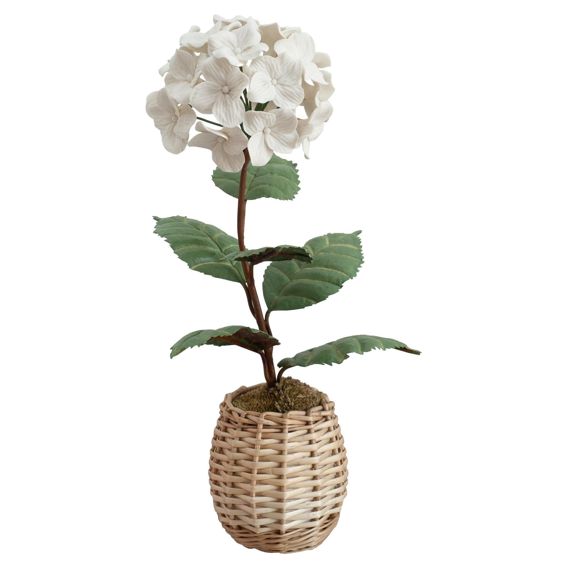 Samuel Mazy Biscuit Porcelain White Hydrangea Flower Sculpture