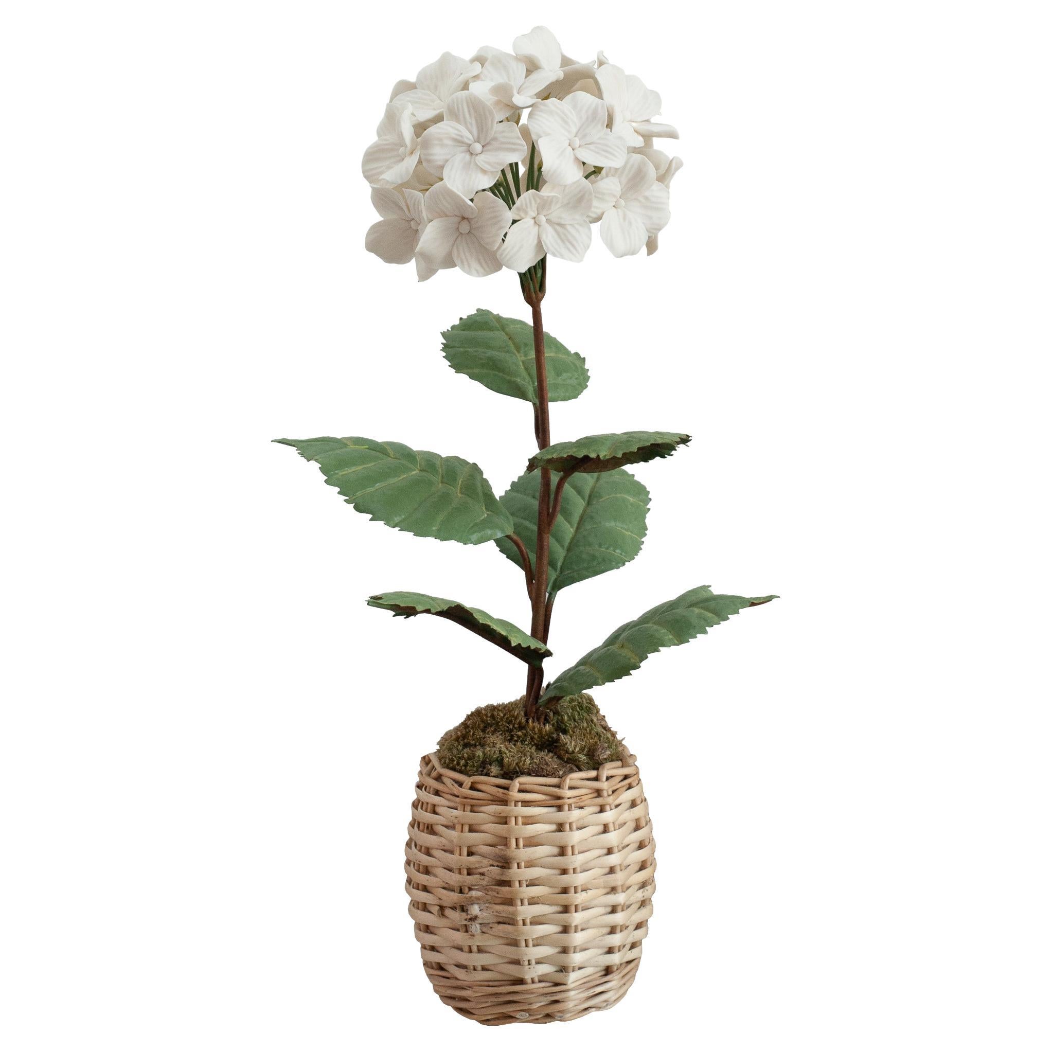 Samuel Mazy Biscuit Weiße Hydrangea-Blumen-Skulptur aus Porzellan im Angebot