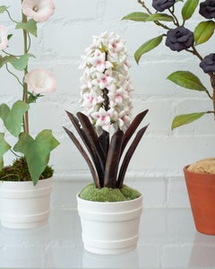 Samuel Mazy Glazed White & Pink Porcelain Hyacinth Sculpture