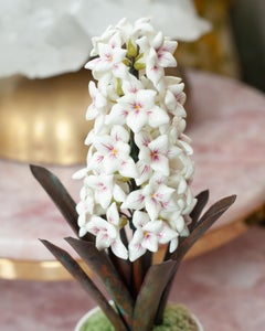 Samuel Mazy Glazed White & Pink Porcelain Hyacinth Sculpture