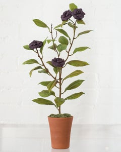 Samuel Mazy Purple Porcelain Camelia Tree Sculpture