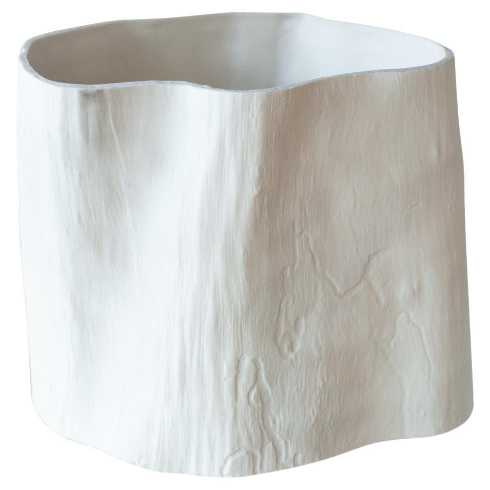 Samuel Mazy White Biscuit Porcelain Faux Bois Pot