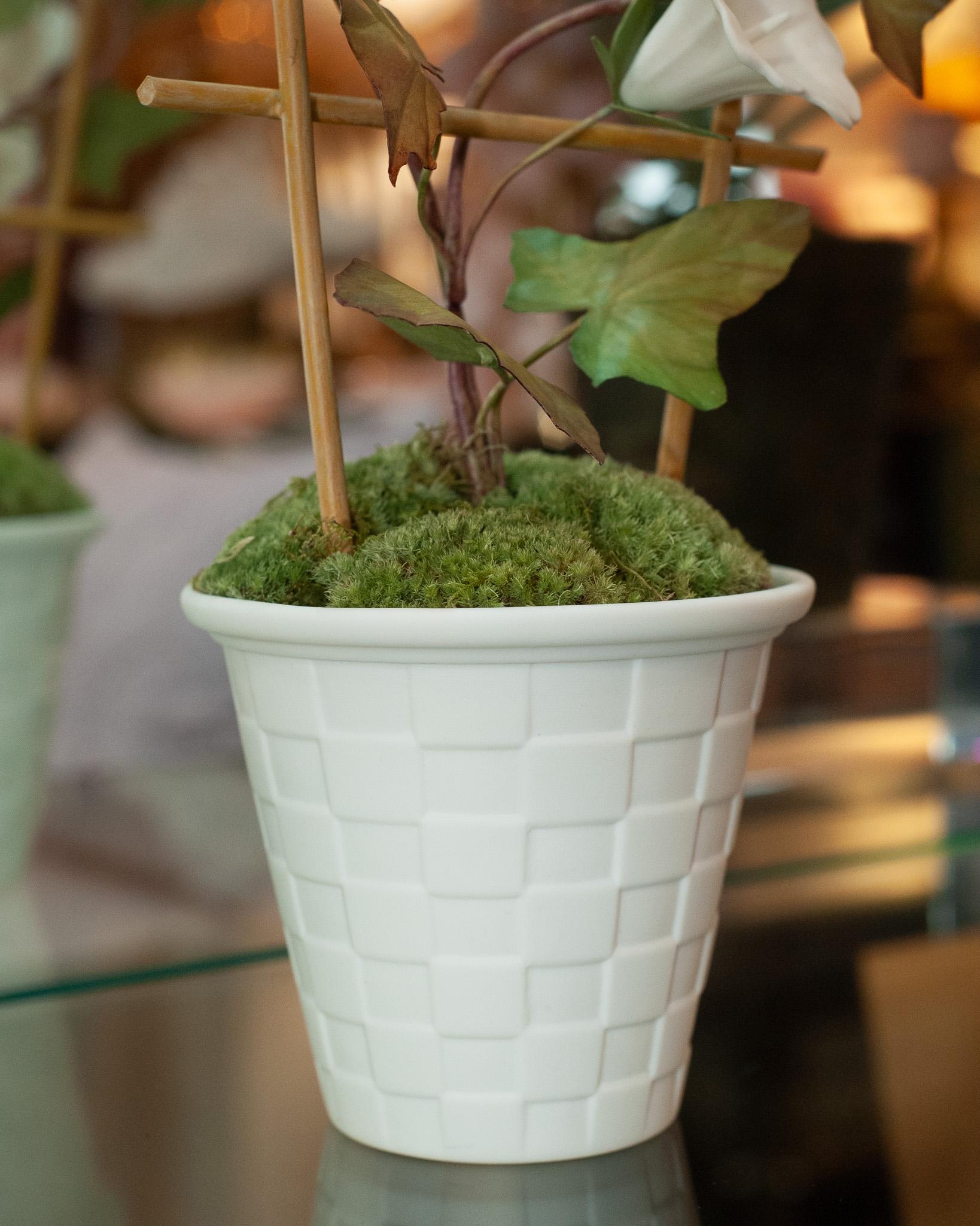 Hand-Painted Samuel Mazy White Biscuit Porcelain Morning Glory with Trellis in a Lattice Pot For Sale