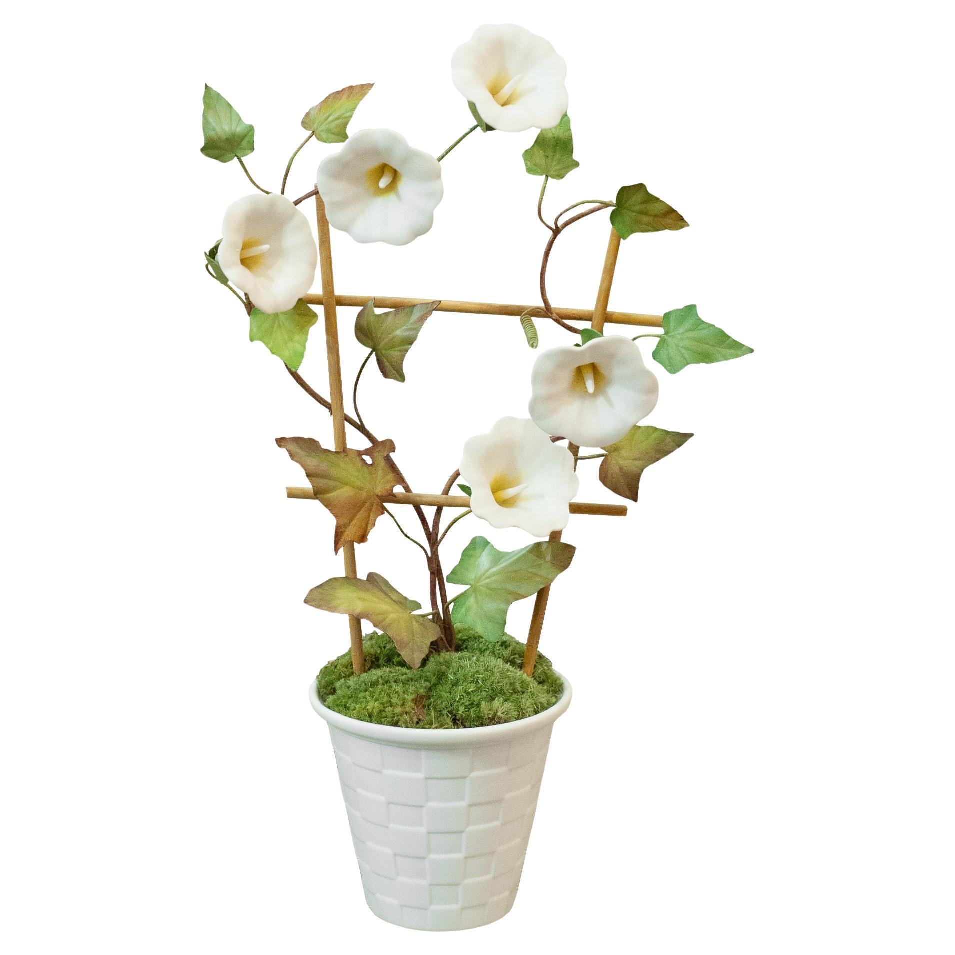 Samuel Mazy White Biscuit Porcelain Morning Glory with Trellis in a Lattice Pot