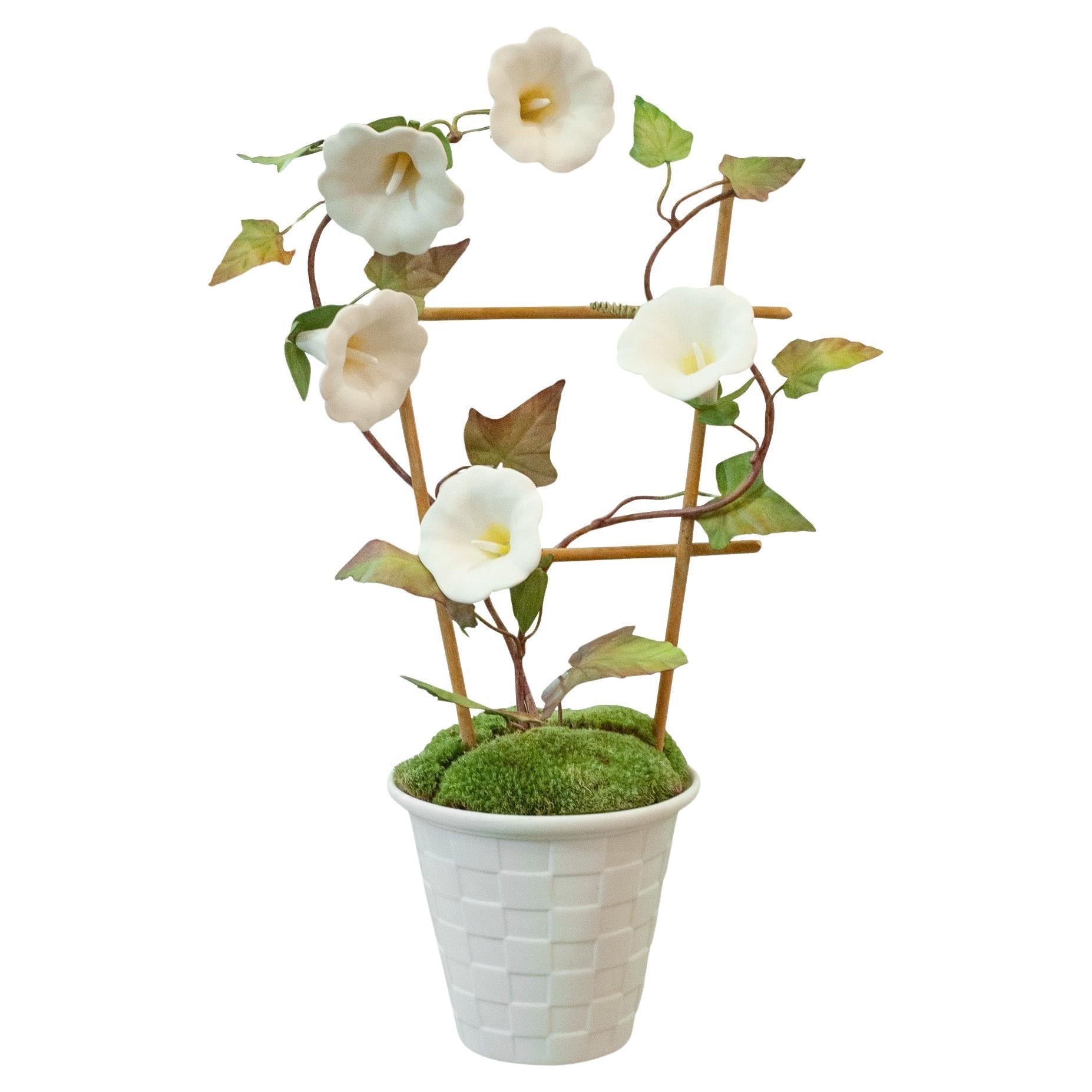Samuel Mazy White Biscuit Porcelain Morning Glory with Trellis in a Lattice Pot For Sale