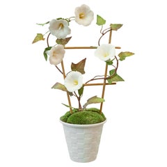 Samuel Mazy Galleta blanca de porcelana Morning Glory con enrejado en una maceta enrejada