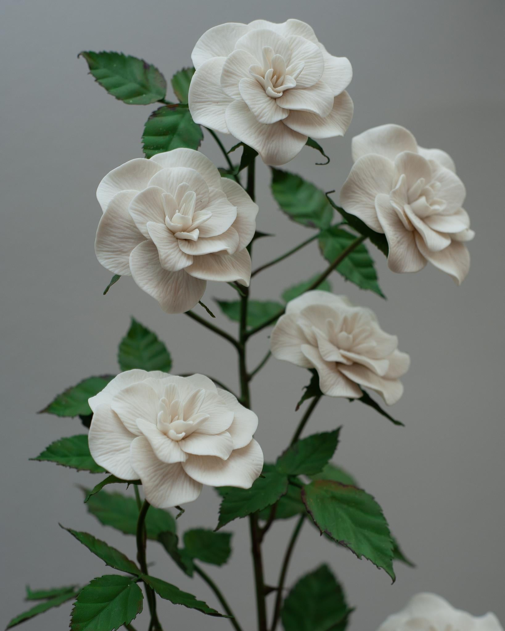 French Samuel Mazy White Porcelain Rosebush Sculpture