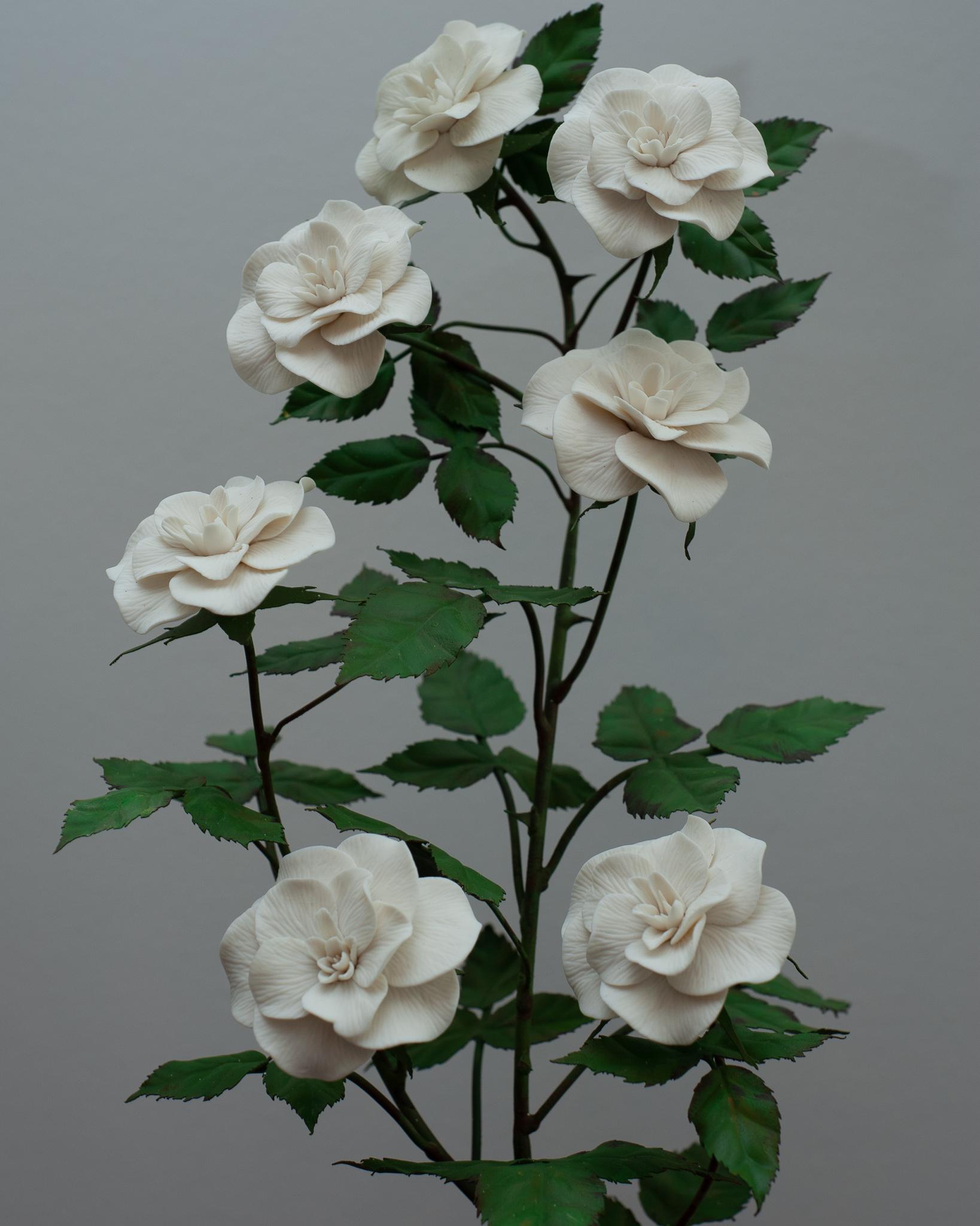 Hand-Painted Samuel Mazy White Porcelain Rosebush Sculpture