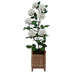 Samuel Mazy White Porcelain Rosebush Sculpture