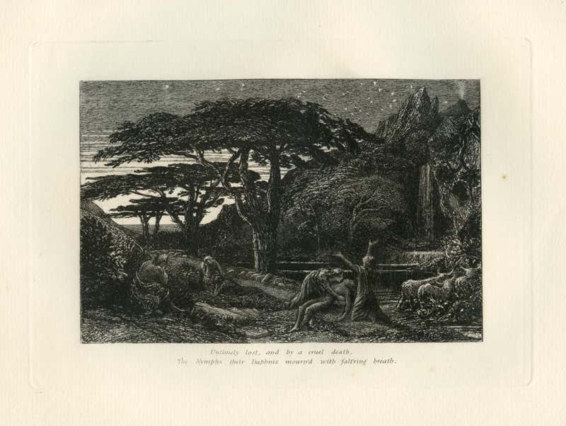 Samuel Palmer (b.1805) Opening the Fold For Sale at 1stDibs