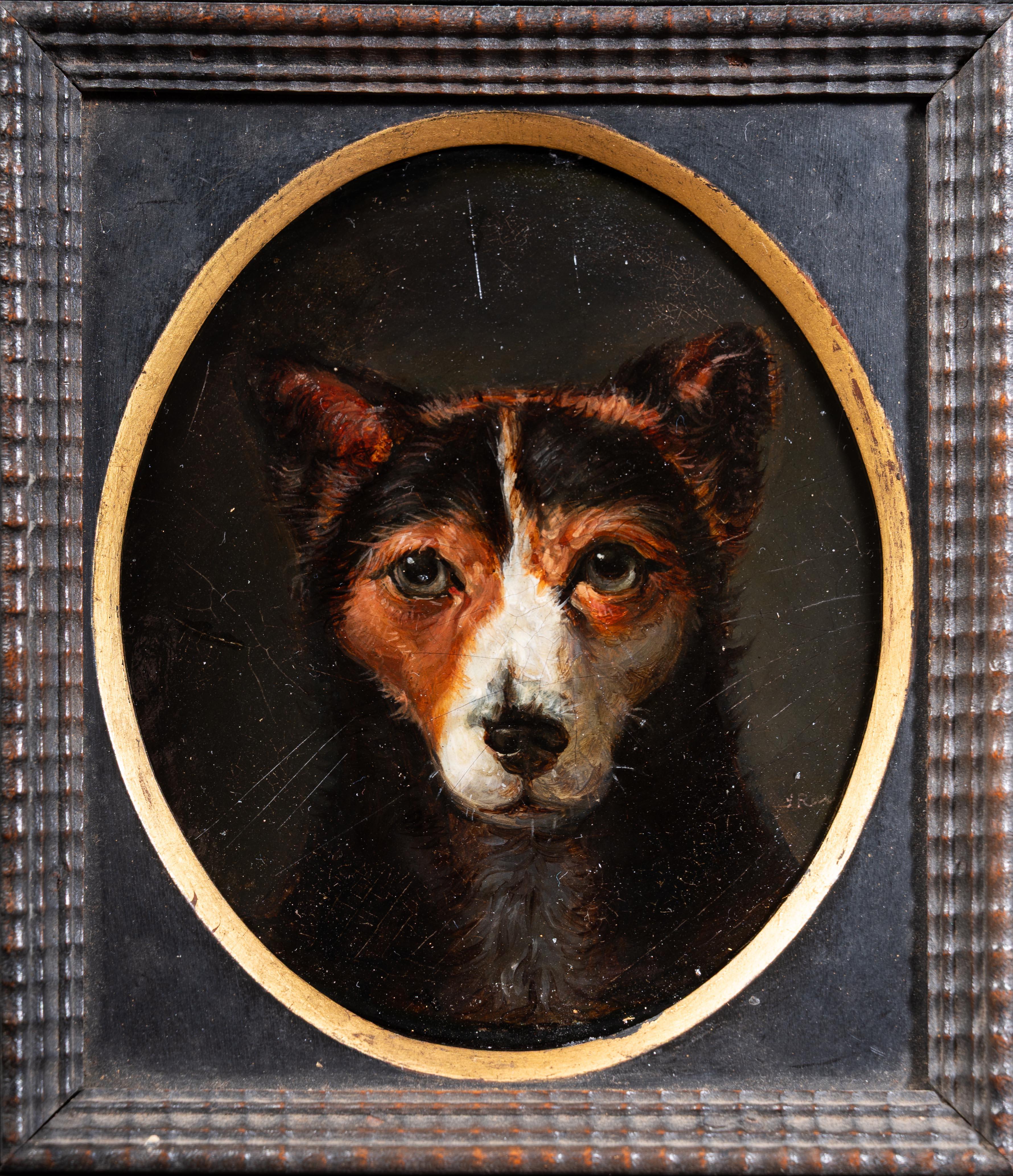 Head of a terrier - Painting by Samuel Raven