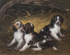 Samuel Raven Principios del siglo XIX Cachorros/perros jugando