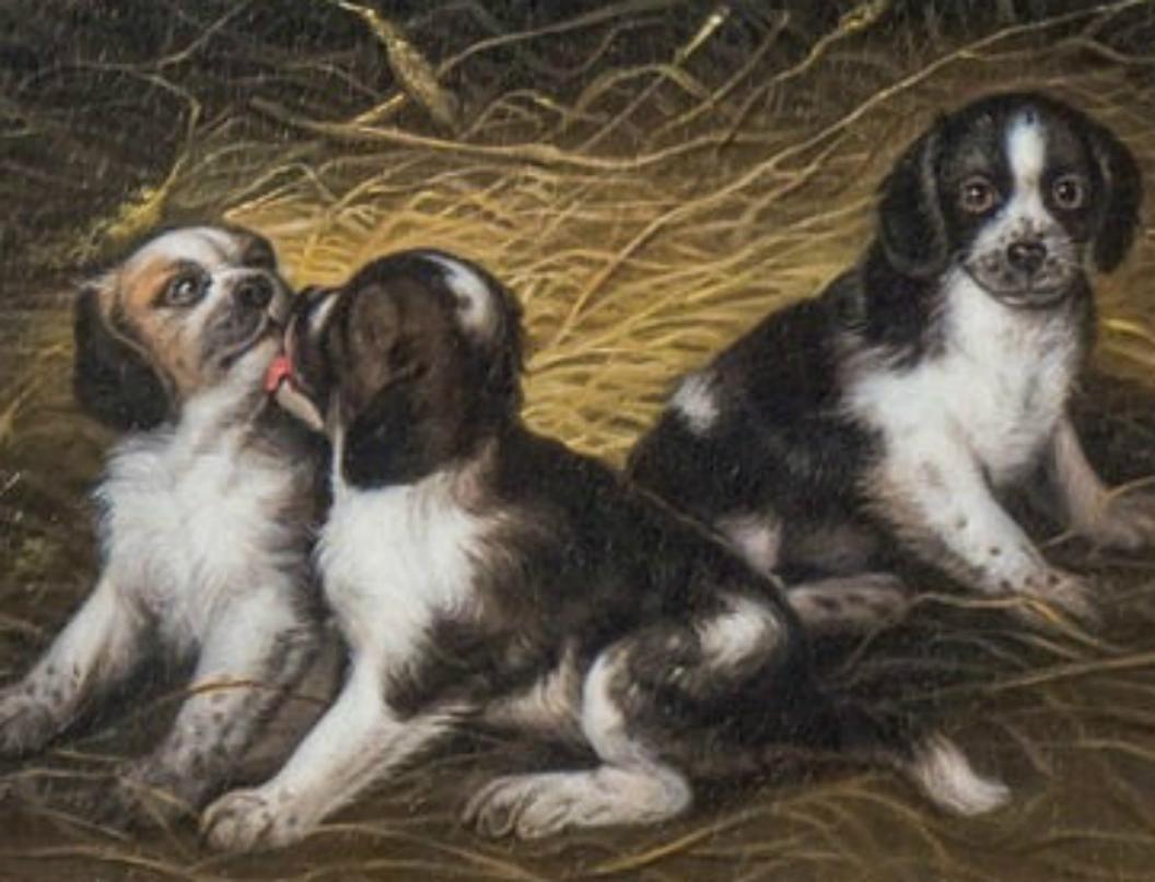 Charming Samuel Raven (1775-1847) English oil painting, depicting three English Setter Puppies playing.  They are soo finely painted with lots of tight brush work details.  One little pug is kissing the other.  Painting is oil on Panel and measures