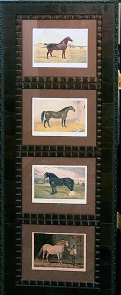 Horse 12 images  Cassell 3 Panel Screen Wood