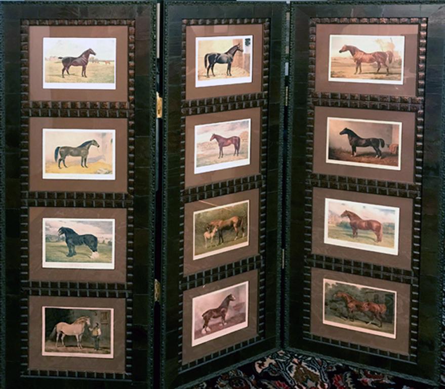 Horse 12 images  Cassell 3 Panel Screen Wood