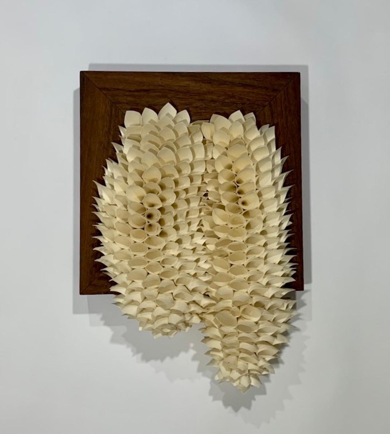 Paper Sculpture. Wall Hanging: 'Untitled Framed'