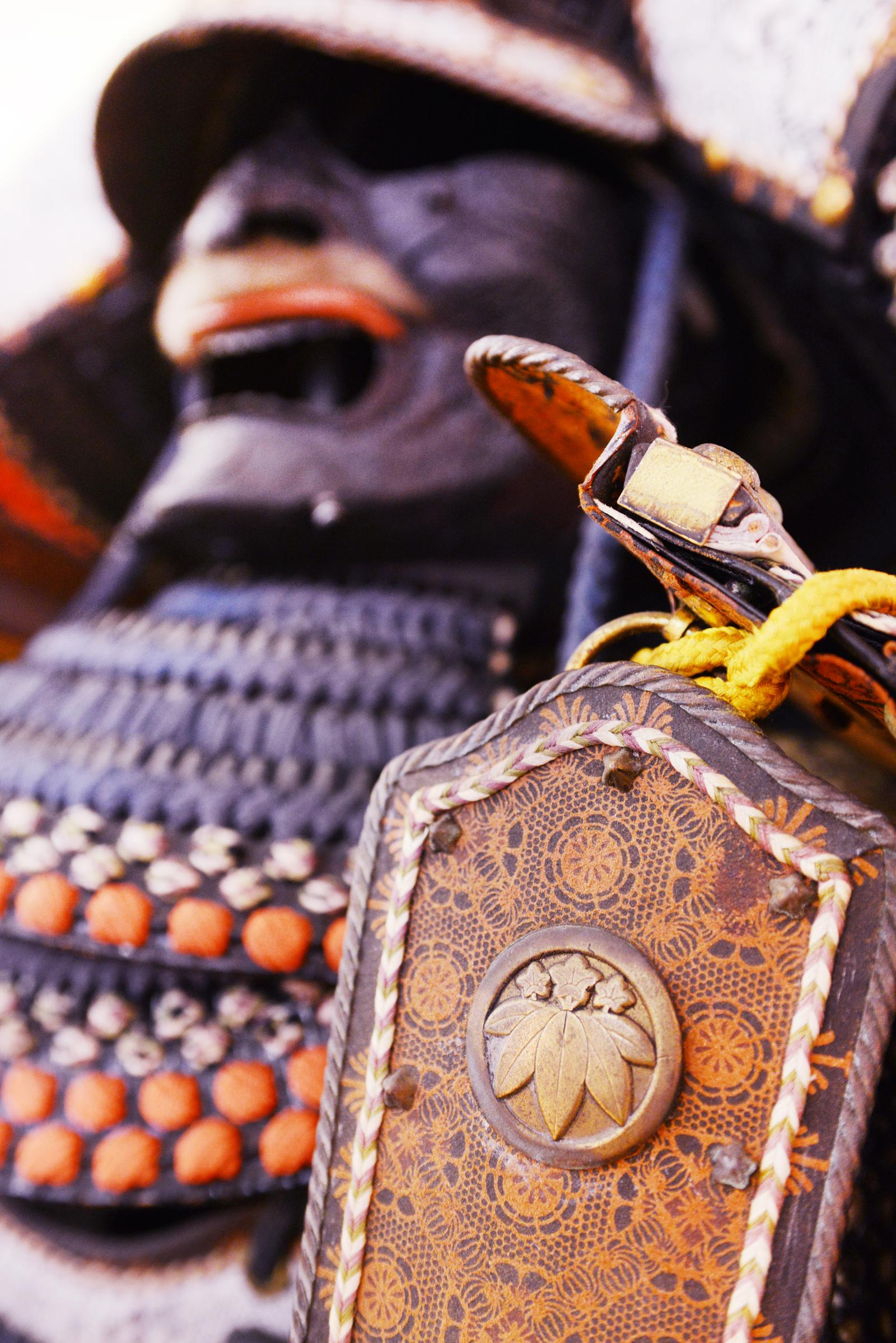 Samurai Warrior Kon'ito, Doroshi Yoroi Armor 5