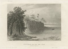 Río San Juan, América Central – Grabado antiguo de un paisaje tropical, hacia 1850