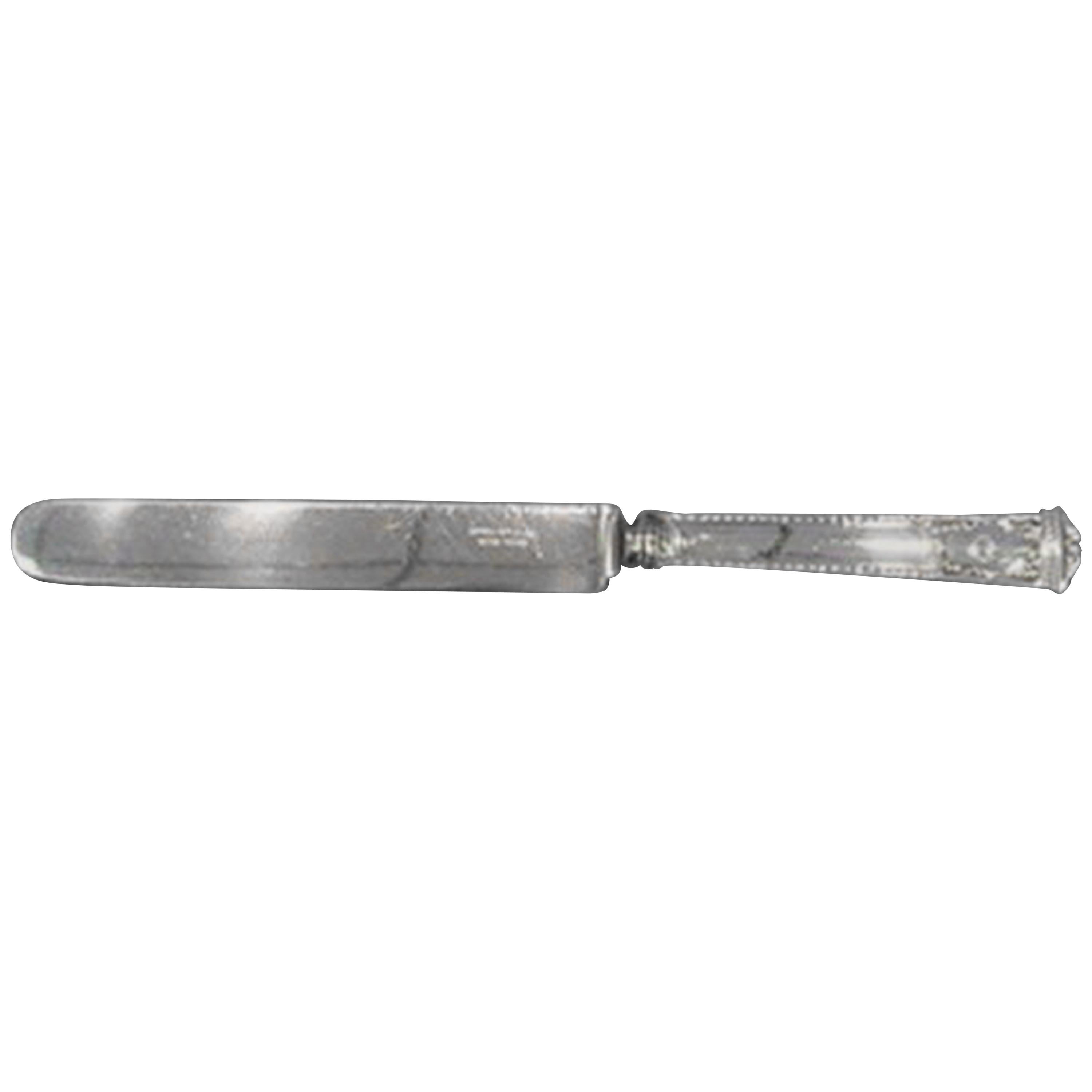 San Lorenzo by Tiffany & Co. Sterling Silver Dinner Knife Blunt