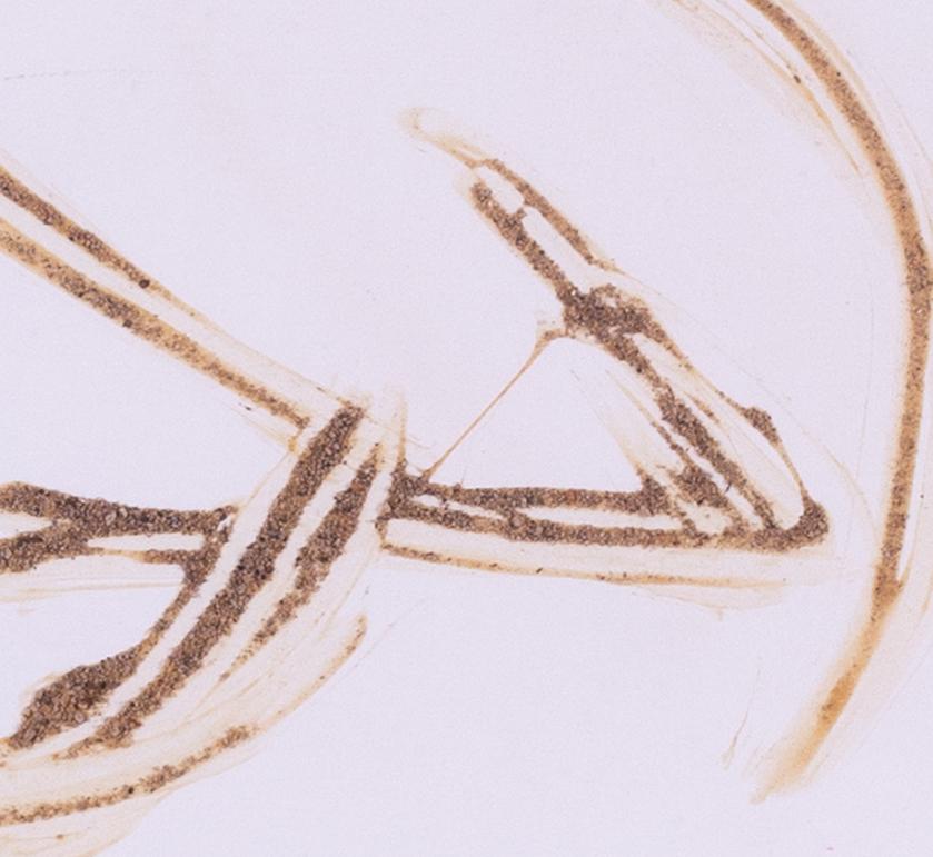 Sandra Blow - abstrait en sable, signé avec le cachet de l'atelier, 20ème siècle en vente 3
