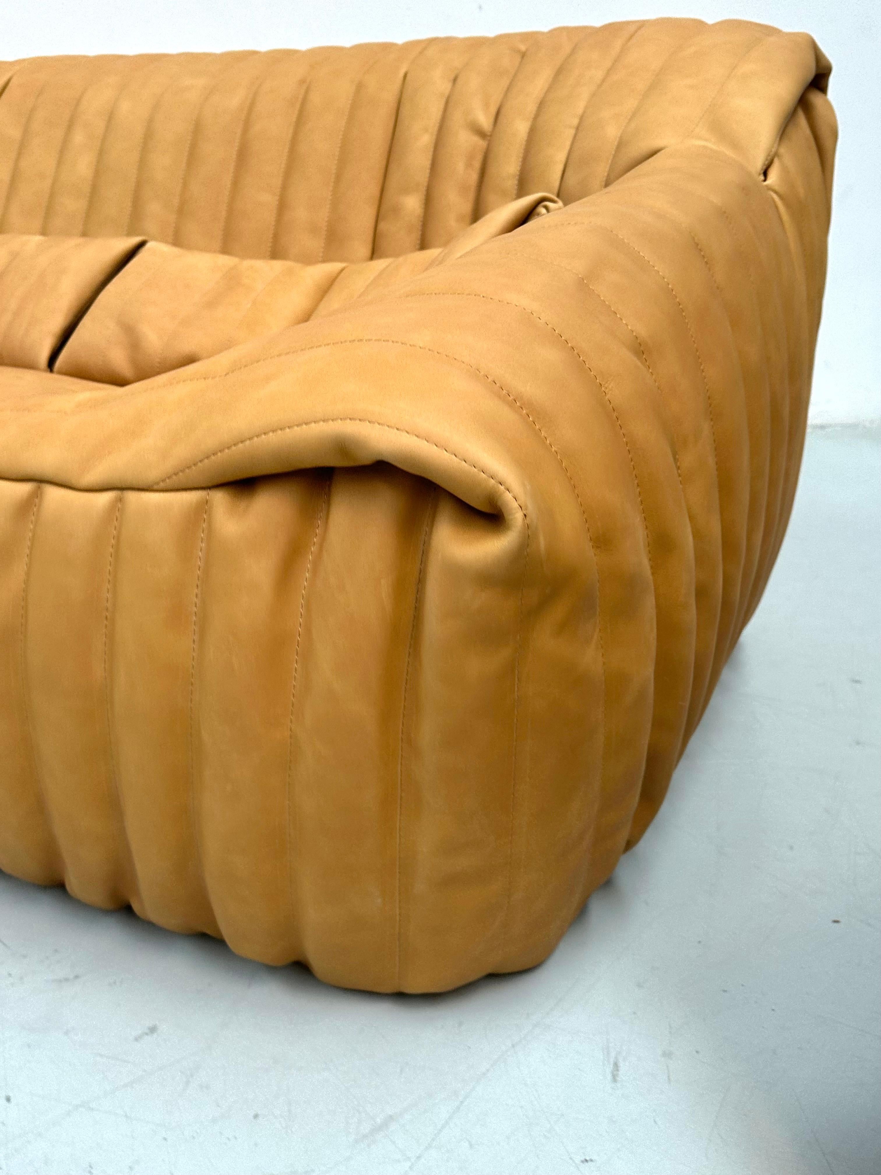Sandra Living Room Set in Camel Leather by A. Hieronimus for Cinna Ligne Roset. For Sale 6