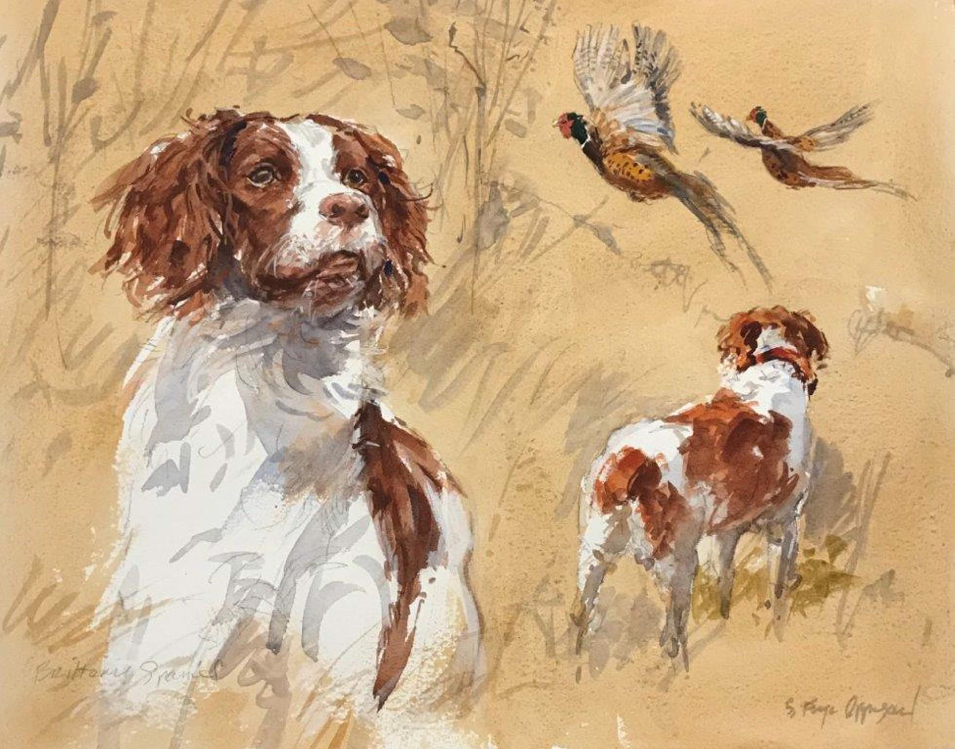 Contemporary Vignette of a Brittany Spaniel Pointing at Pheasants in Flight 